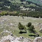 Tre Querce Viggiano