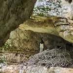 Tre Querce Viggiano