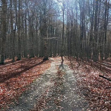 アパート Tre Querce *