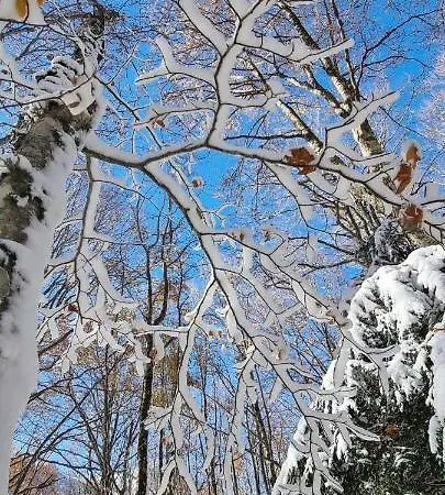 アパート Tre Querce *