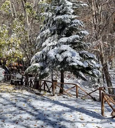 アパート Tre Querce