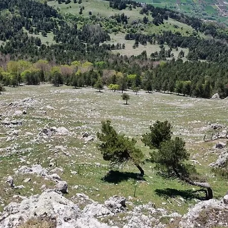 Tre Querce Viggiano