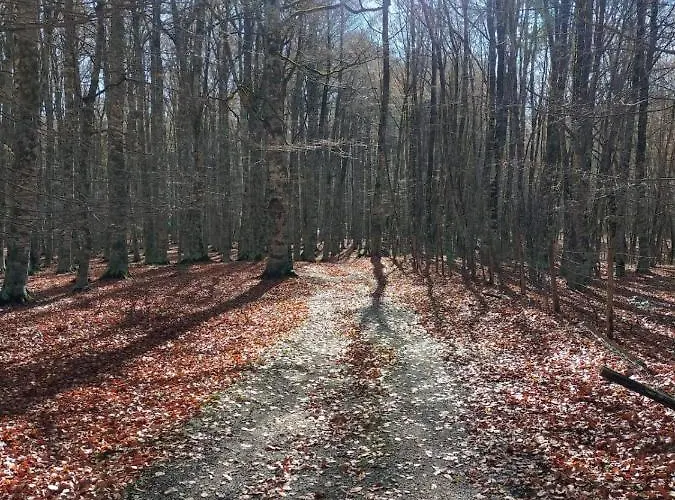 Lägenhet Tre Querce *