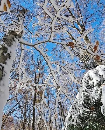 Lägenhet Tre Querce *