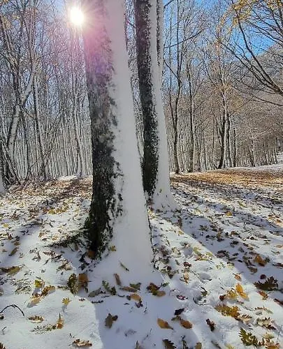 Διαμέρισμα Tre Querce Viggiano