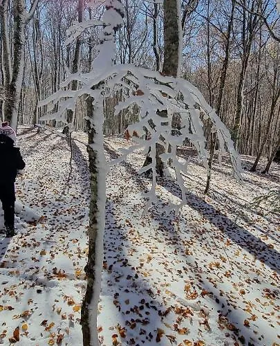 Tre Querce Lägenhet Viggiano