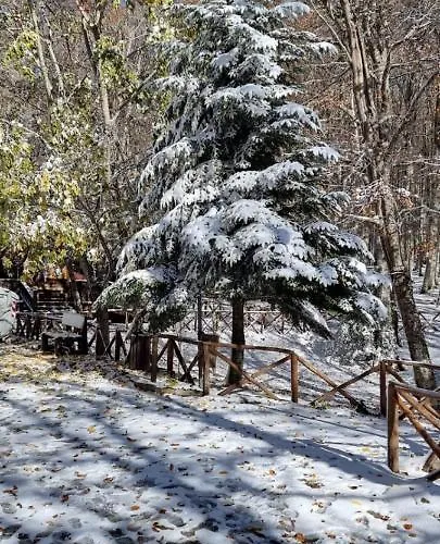 Lägenhet Tre Querce